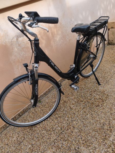 Damen E-Bike