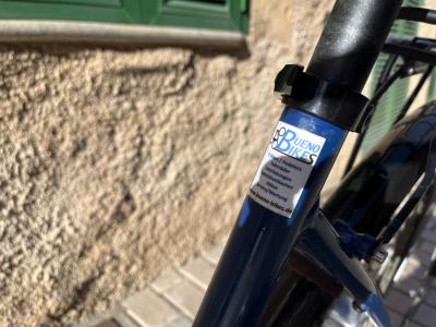 Damen E-Bike
