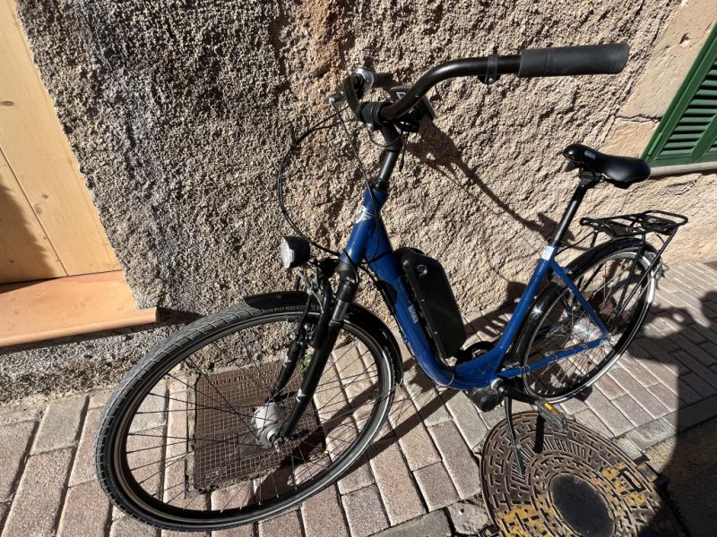 Damen E-Bike