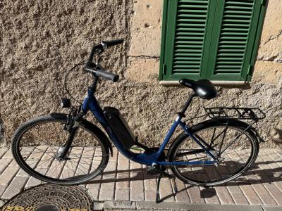 Damen E-Bike