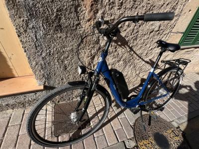 Damen E-Bike