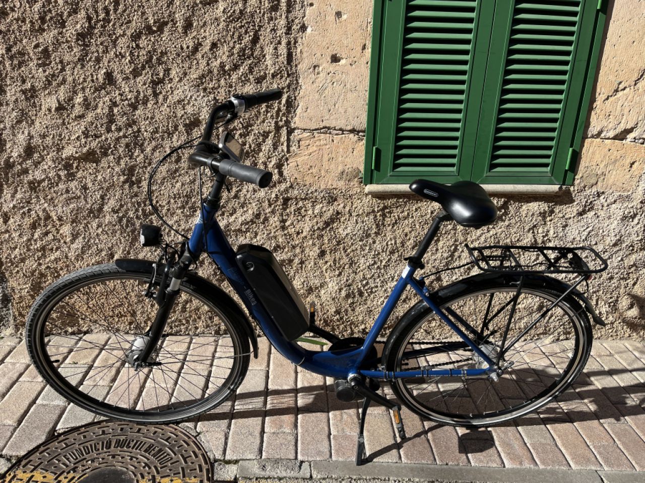 Damen E-Bike