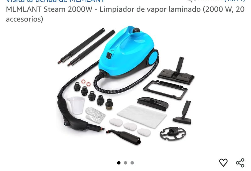 Dampfreiniger
