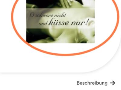 EL Libro  del Amor Un libro ilustrado sin límites y sensual