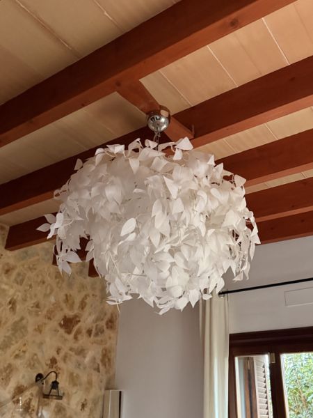 Ceiling lamp