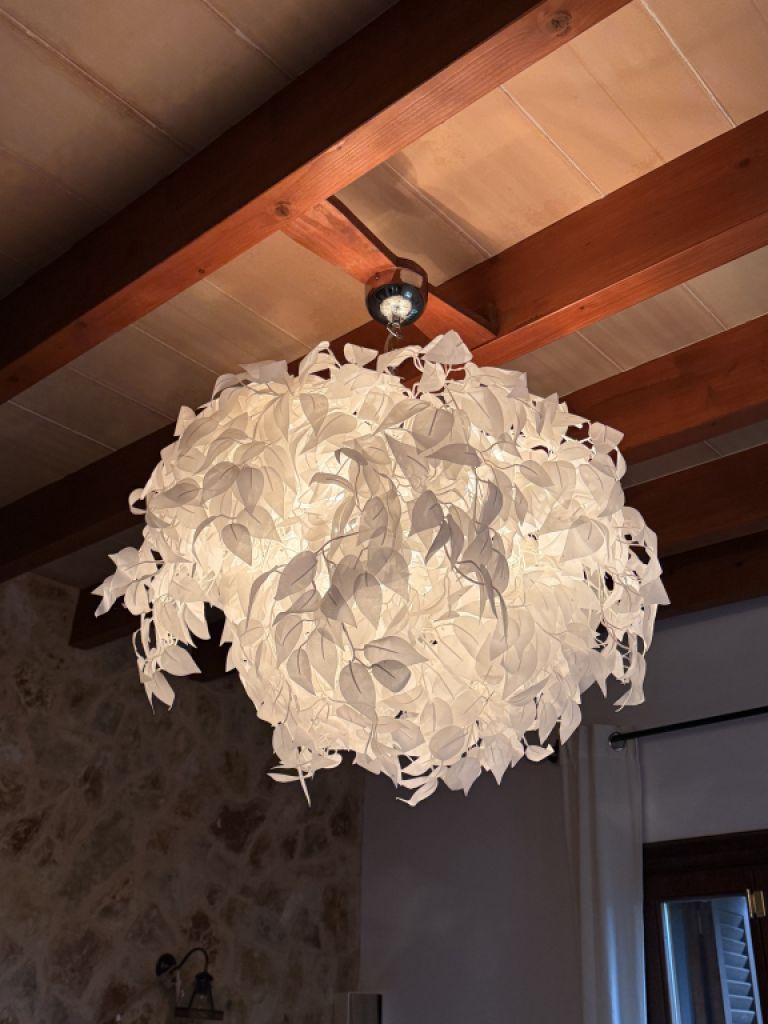 Ceiling lamp