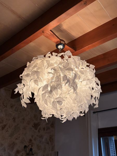 Ceiling lamp