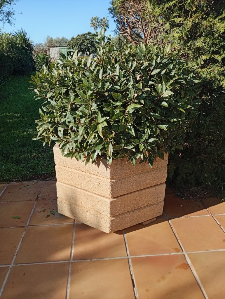 Macetas decorativas en apariencia de granito beige,