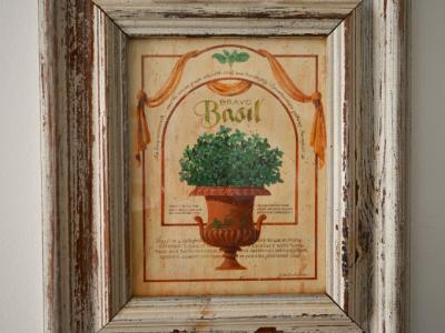 Decorative picture set "Herb motifs"