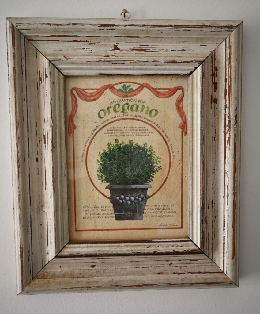 Decorative picture set "Herb motifs"