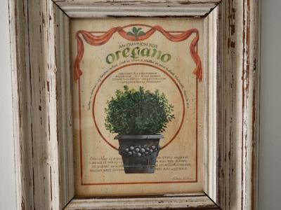 Decorative picture set "Herb motifs"