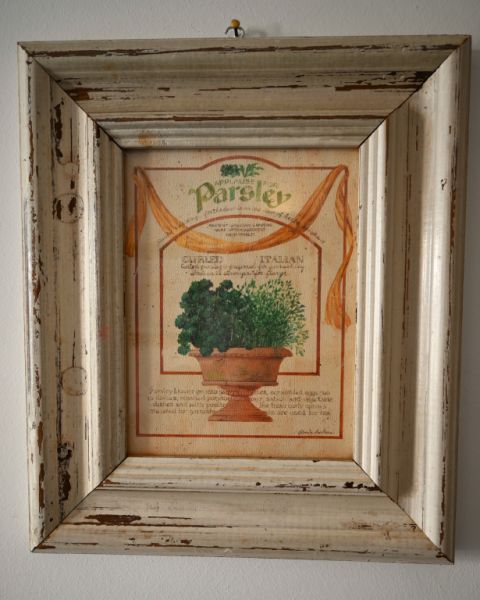 Decorative picture set "Herb motifs"