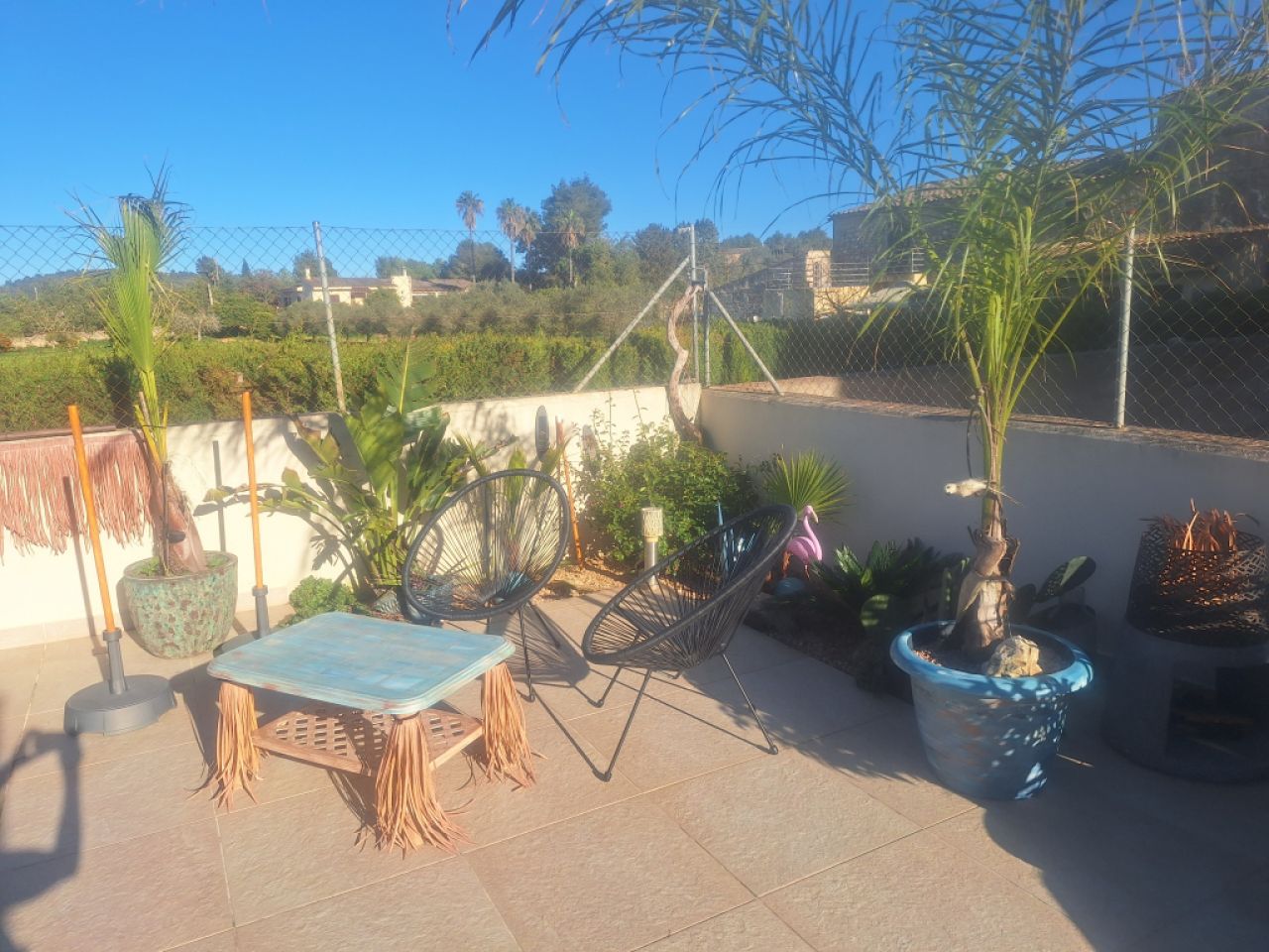 Cuidado canino de lujo Canguros de perros Residencia canina también para