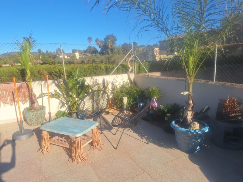 Cuidado canino de lujo Canguros de perros Residencia canina también para