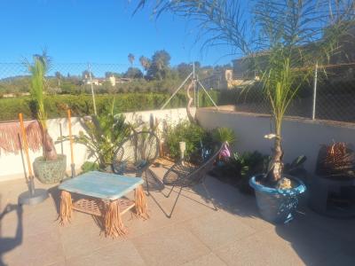 Cuidado canino de lujo Canguros de perros Residencia canina también para