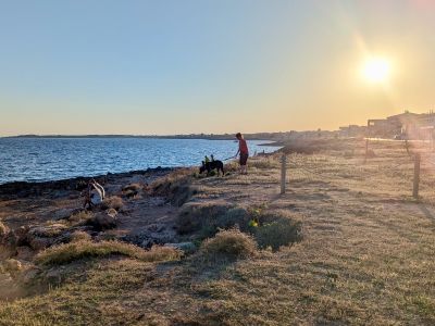 Den Winter auf Mallorca verbringen