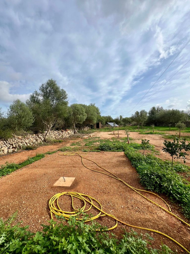 Designer country cottage with air/AC, fireplace and maximum privacy — Zona Santanyí