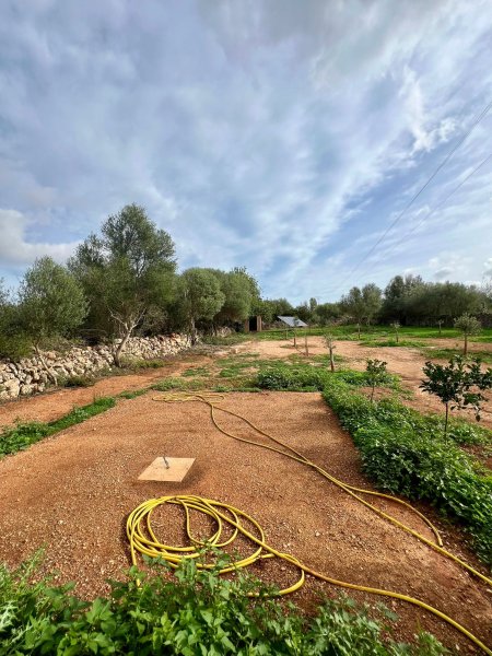 Designer country cottage with air/AC, fireplace and maximum privacy — Zona Santanyí