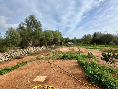 Designer country cottage with air/AC, fireplace and maximum privacy — Zona Santanyí