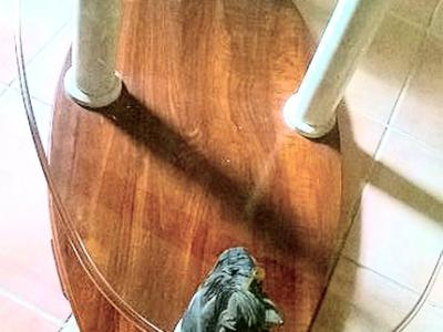 Designer Horse Couchtisch, Holz, Kristall, Bronze Motive, Mamorsäulen