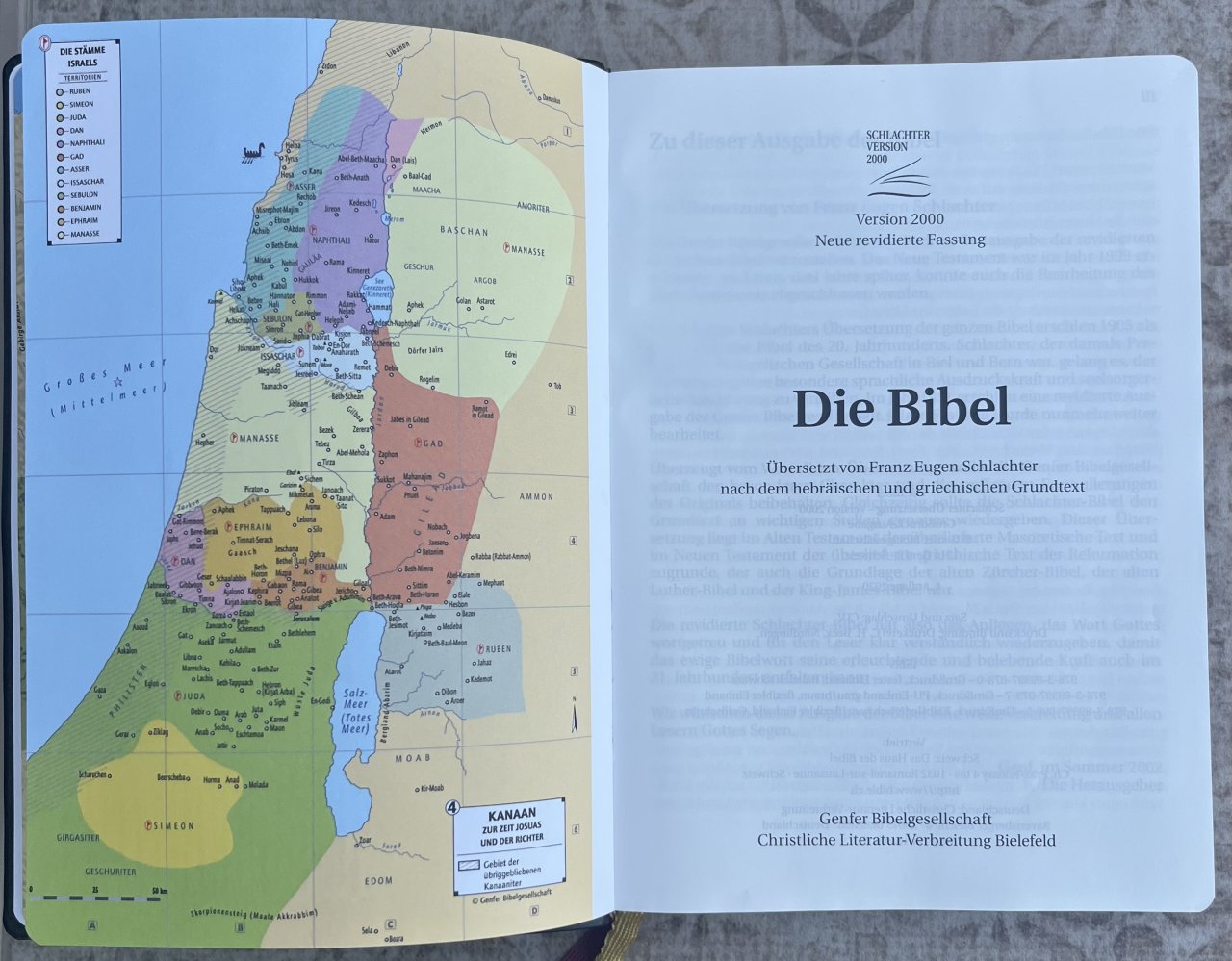 Die Bibel - Schlachter - Schwarzer Kalbsleder-Einband