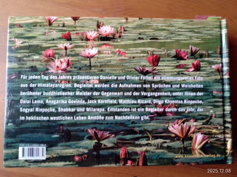 La sabiduría del budismo día a día