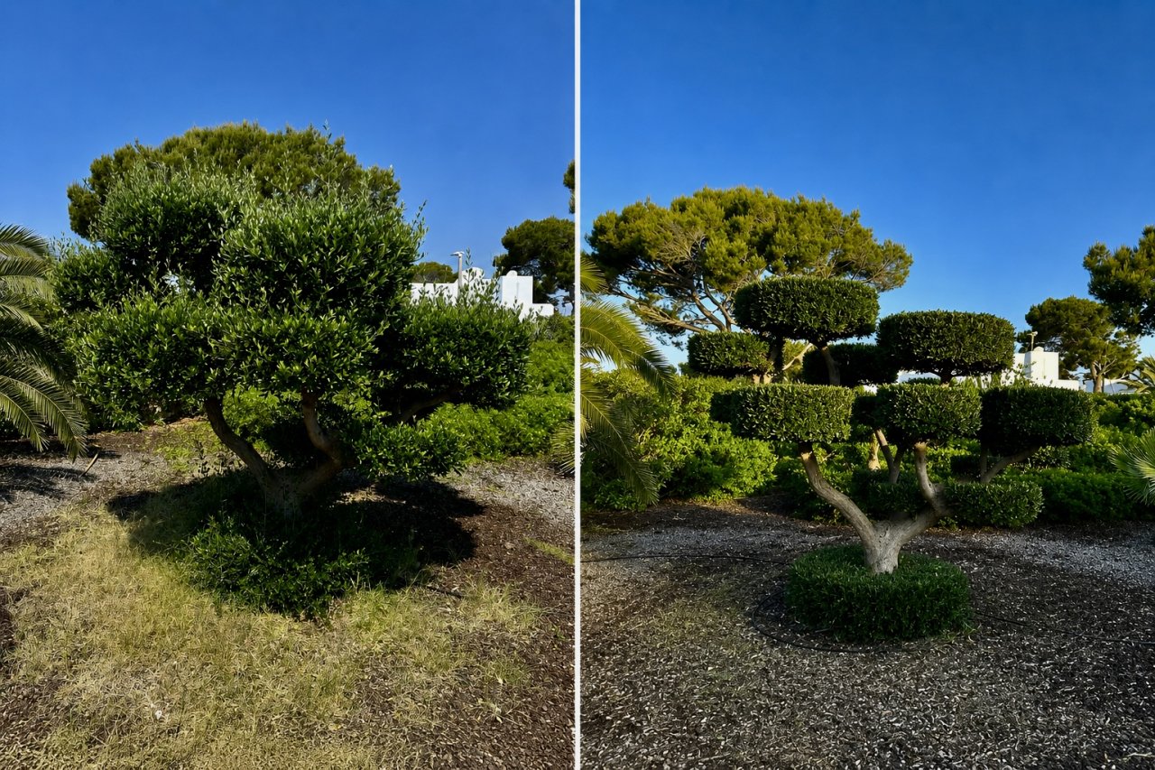 Servicios de mantenimiento de jardines y piscinas