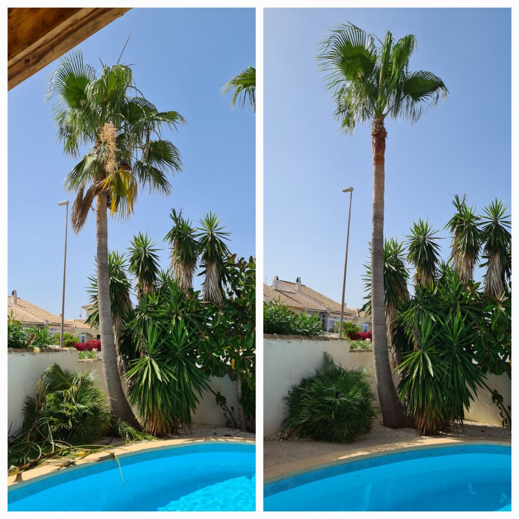 Garden and Pool Maintenance Services