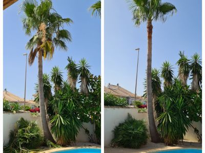 Garden and Pool Maintenance Services