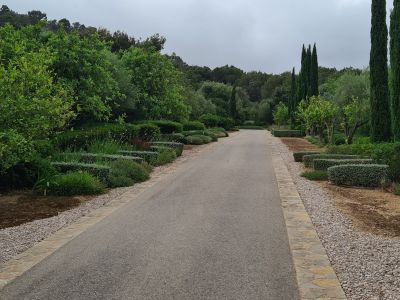 Garden and Pool Maintenance Services