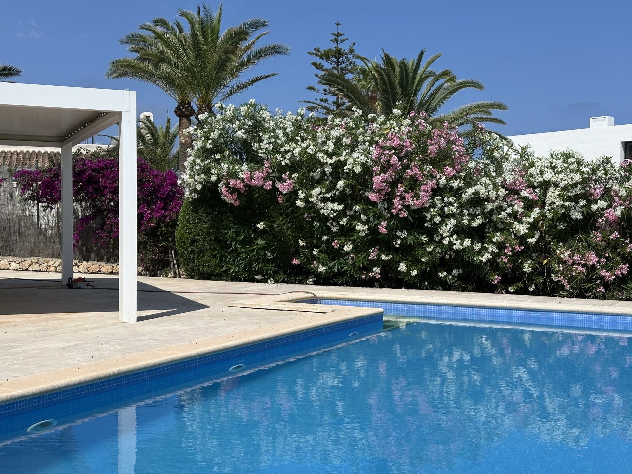 Garden and Pool Maintenance Services