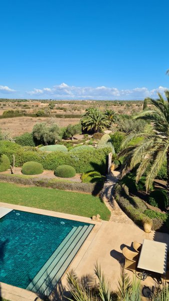 Garden and Pool Maintenance Services