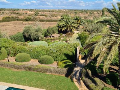 Garden and Pool Maintenance Services