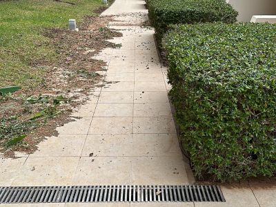 Garden and Pool Maintenance Services