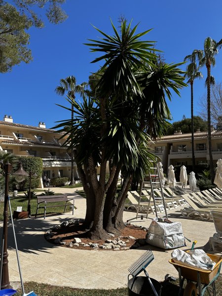 Garden and Pool Maintenance Services
