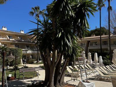 Garden and Pool Maintenance Services