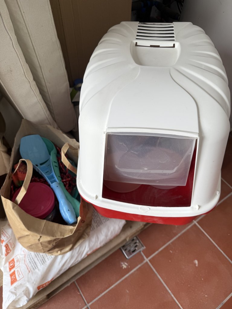 Various cat accessories to GIVE AWAY