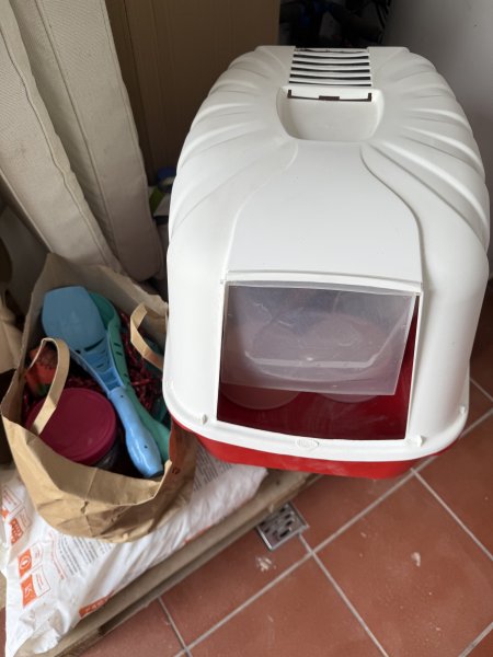 Varios accesorios para gatos para REGALAR