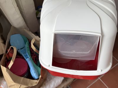 Varios accesorios para gatos para REGALAR