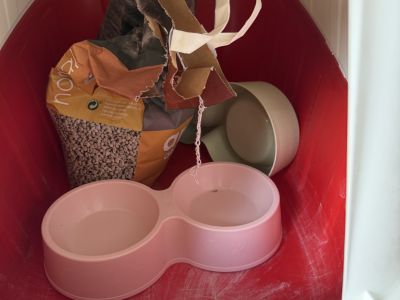 Varios accesorios para gatos para REGALAR