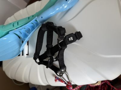 Varios accesorios para gatos para REGALAR