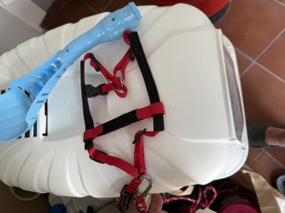 Varios accesorios para gatos para REGALAR
