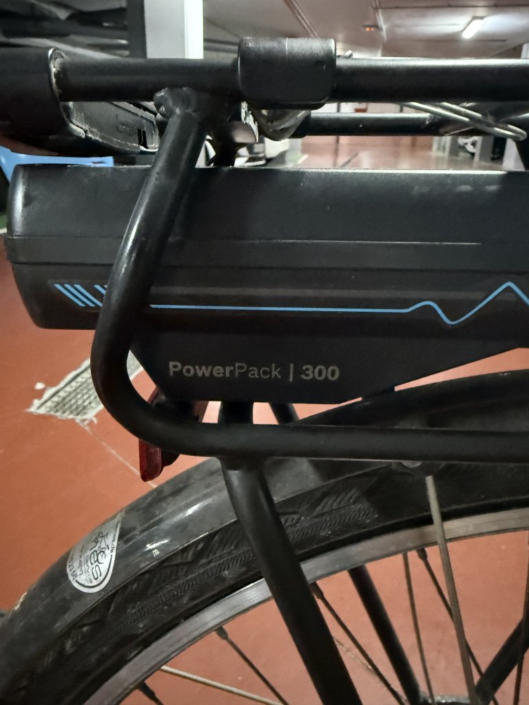 E-Bike Damenfahrrad Stevens Bosch 300 Rahmengröße 56