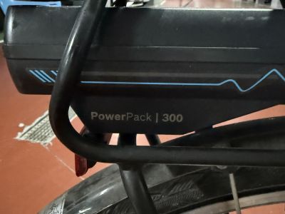 E-Bike Damenfahrrad Stevens Bosch 300 Rahmengröße 56