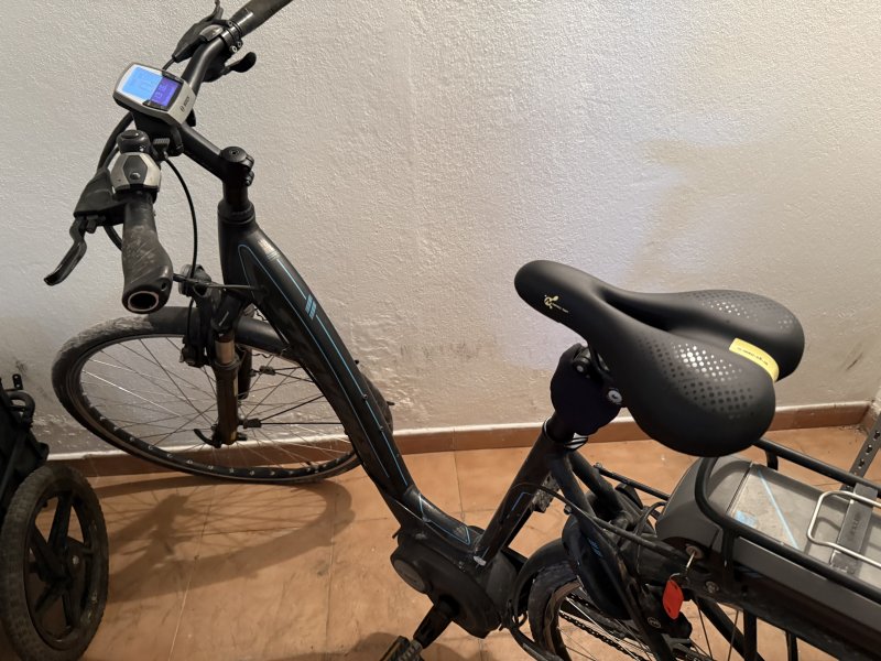 E-Bike Damenfahrrad Stevens Bosch 400 Rahmengröße 52