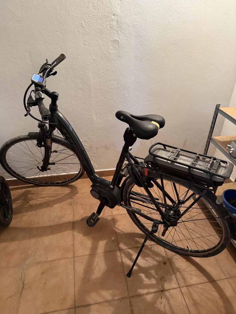 E-Bike Damenfahrrad Stevens Bosch 400 Rahmengröße 52