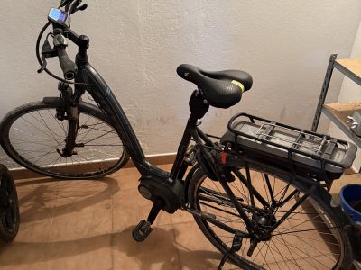 E-Bike Damenfahrrad Stevens Bosch 400 Rahmengröße 52