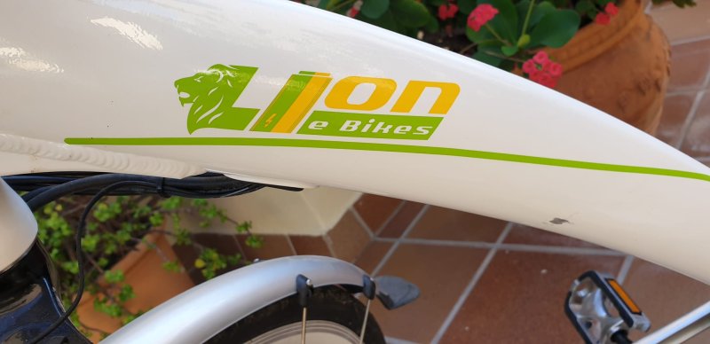 E-bike bicycle NEW for sale: Lion e-Bike city bike.