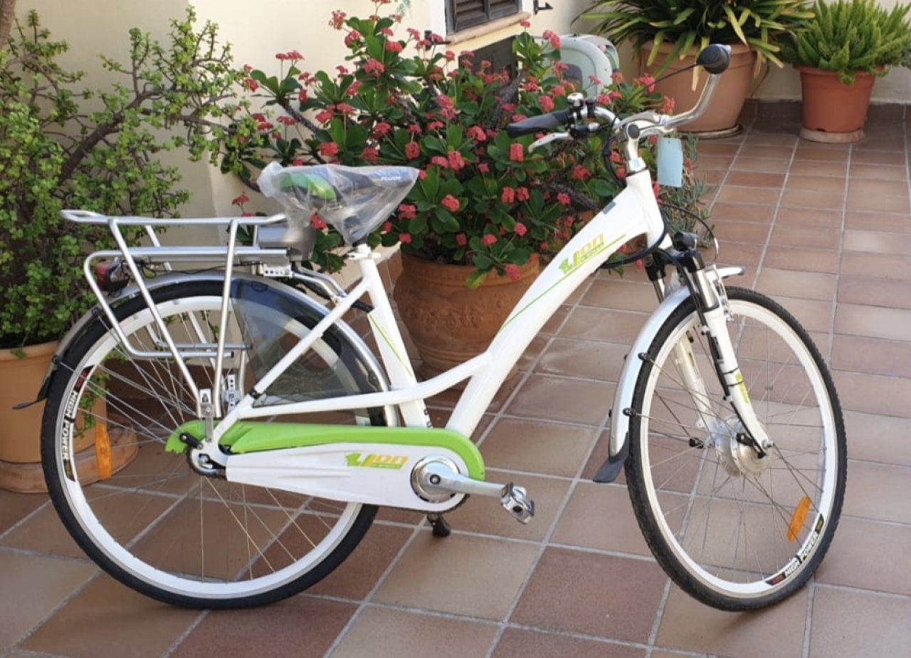 E-bike bicycle NEW for sale: Lion e-Bike city bike.