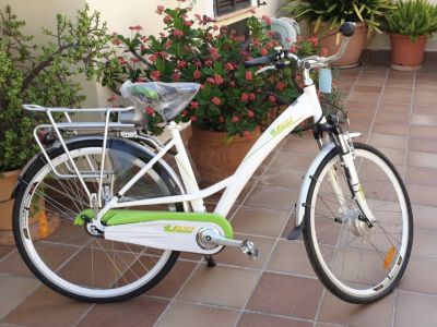 E-bike bicycle NEW for sale: Lion e-Bike city bike.